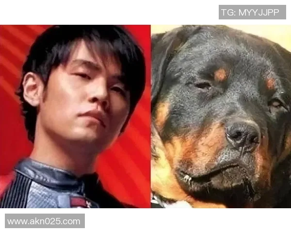 狗狗意外撞脸足球明星引发网友热议趣味瞬间成网络新宠 狗狗意外撞脸足球明星引发网友热议趣味瞬间成网络新宠